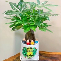 CHẬU CÂY KIM NGÂN - KN330