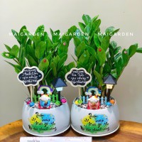 CHẬU CÂY KIM TIỀN - CKT354