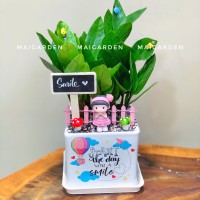 CHẬU CÂY KIM TIỀN - GIÁ CHO SỐ LƯỢNG TỪ TRÊN 10 CHẬU