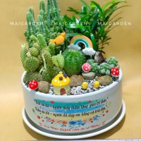 CHẬU CÂY XƯƠNG RỒNG MIX GHI NỘI DUNG TRÊN CHẬU THEO YÊU CẦU - XR484