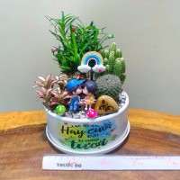 CHẬU CÂY XƯƠNG RỒNG MIX TÙNG VẠN NIÊN - XR356