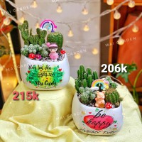 CÂY XƯƠNG RỒNG MIXX - GIÁ NHƯ HÌNH