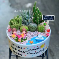CÂY XƯƠNG RỒNG MIX TIỂU CẢNH