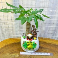 KIM NGÂN mix CẨM NHUNG, MAY MẮN - KNCN260 B1