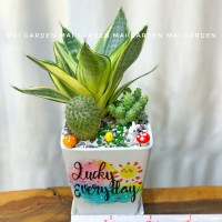 LƯỠI HỔ MIX XƯƠNG RỒNG