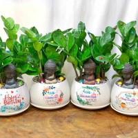 CHẬU CÂY KIM TIỀN GHI TÊN RIÊNG B1