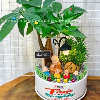 CHẬU CÂY KIM NGÂN MIX ( IN LOGO CÔNG TY)