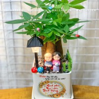 CHẬU CÂY KIM NGÂN GHI TÊN RIÊNG KN309