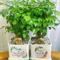 CHẬU CÂY HẠNH PHÚC HP297