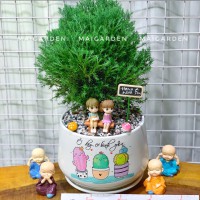 CHẬU CÂY TÙNG BỒNG LAI TBL290
