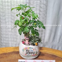 CHẬU CÂY HẠNH PHÚC CHP293