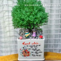 CHẬU CÂY TÙNG BÔNG LAI TBL272