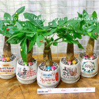 CHẬU CÂY KIM NGÂN KN128