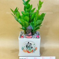 CHẬU CÂY KIM TIỀN - KT292