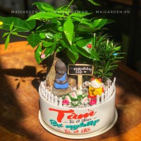 CHẬU CÂY KIM NGÂN MIX TÙNG - KN460