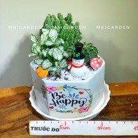 CHẬU CÂY XƯƠNG RỒNG MIX - XR195