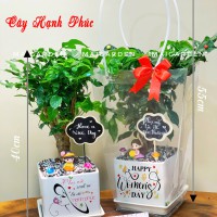 CHẬU CÂY HẠNH PHÚC ( CHƯA BAO GỒM TÚI) - HP268