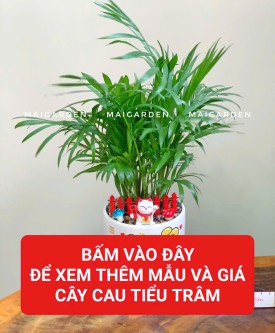 CAU TIỂU TRÂM ( HỢP MỆNH MỘC - HỎA)