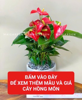 HỒNG MÔN ( HỢP MỆNH HỎA - THỔ)