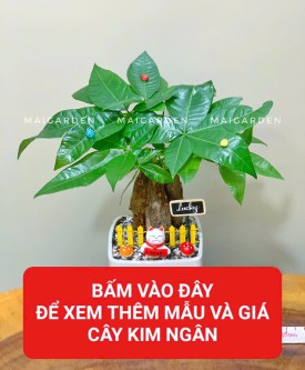 KIM NGÂN (HỢP HẾT CÁC MỆNH)