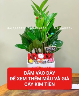 KIM TIỀN ( HỢP HẾT CÁC MỆNH)