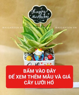 LƯỠI HỔ (HỢP THỔ - KIM)