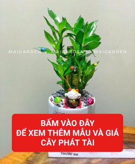 PHÁT TÀI (HỢP TẤT CẢ CÁC MỆNH)