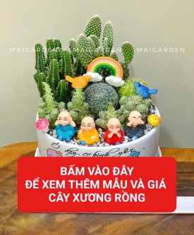  XƯƠNG RỒNG (HỢP KIM - THỦY)