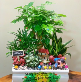 CHẬU CÂY HẠNH PHÚC MIX TÙNG VẠN NIÊN, LƯỠI HỔ, CẨM NHUNG - HP796