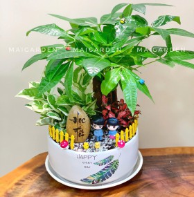 CHẬU CÂY KIM NGÂN MIXTRẦU BÀ, CẨM NHUNG - KN456