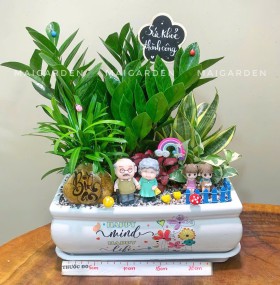 CHẬU CÂY KIM TIỀN MIX LƯỠI HỔ, TÙNG VẠN NIÊN, TRẦU BÀ, CẨM NHUNG - KT717