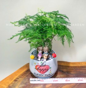 CHẬU CÂY KIM THỦY TÙNG - KTT177