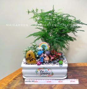 CHẬU CÂY KIM THỦY TÙNG MIX CẨM NHUNG - KTT332