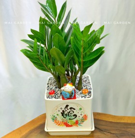KIM TIỀN SIZE VỪA - KT277