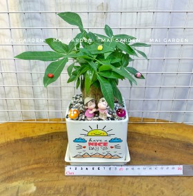 CHẬU CÂY KIM NGÂN - KN252 B1