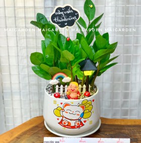 CHẬU CÂY KIM TIỀN