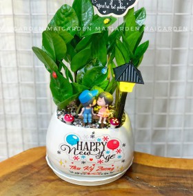CHẬU CÂY KIM TIỀN GHI TÊN RIÊNG B1