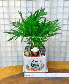 CAU TIỂU TRÂM ( HỢP MỆNH MỘC - HỎA)